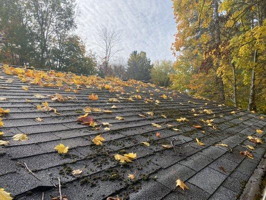 Roof cleaning to remove moss and mold can extend the life of your shingles.