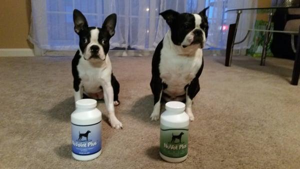 My bosties love these vitamins!! Without these pills I don't know what they would do.no shedding,shiny coat and energized!