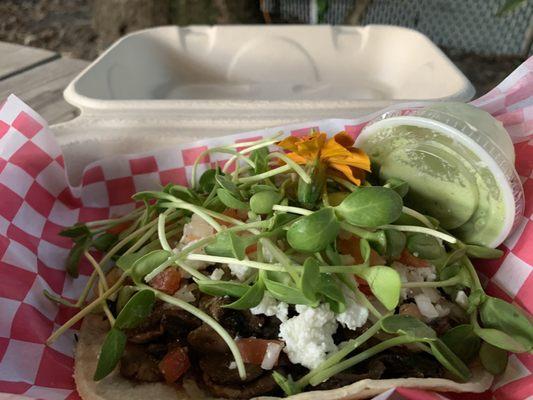 Veggie taco at Toohey's