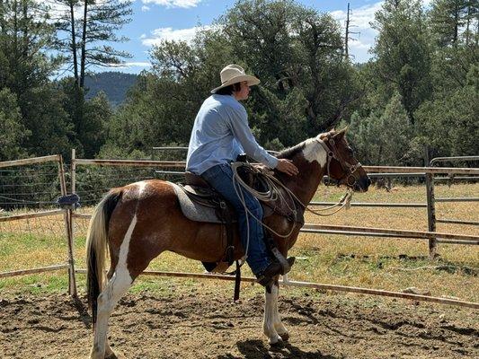 Mikey is working with Daisy..  She is a younger mare that he has had for a few years.