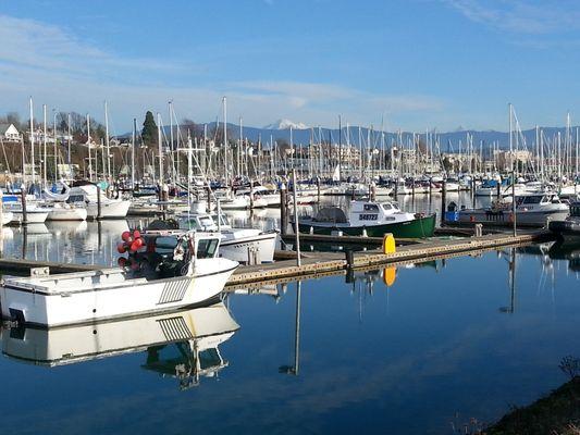 If you enjoy boating, then Bellingham is the place for you!