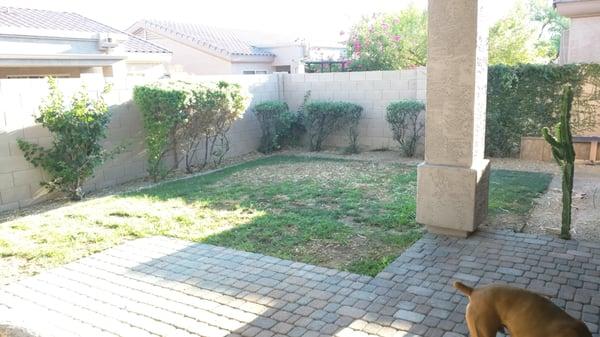 After mesquite removal