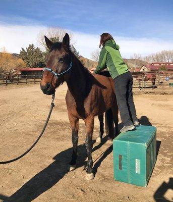 Dr. Page performs chiropractic in the field.