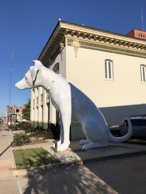 10/27/18. Saturday evening. Art, the giant colorful (he lights up at night!) Dalmatian in front of SRAC. Downtown Shreveport.