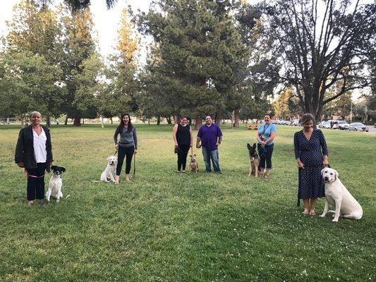 Leash & Social Manners Class