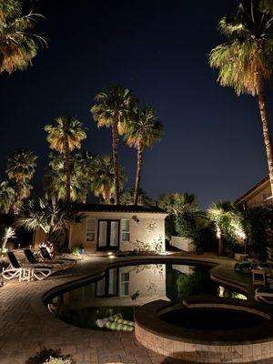 Pool, hot tub and palm trees