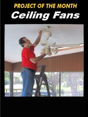 winter ceiling fan  promo