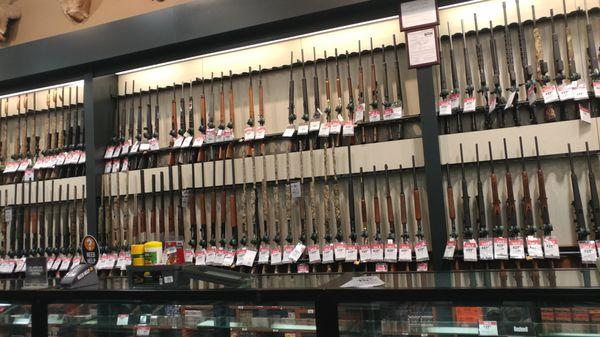 Long guns at Dick's