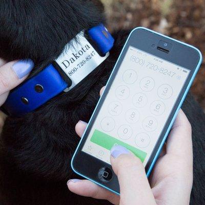 Our patented ScruffTag design dog collars make it easy for your dog's information to be accessed if they get lost.