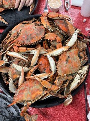 Boiled Crabs