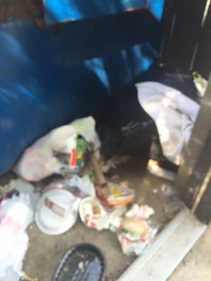 More pictures of dumpster area. This is today the others posted was yesterday.