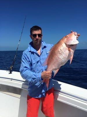 Mutton snapper