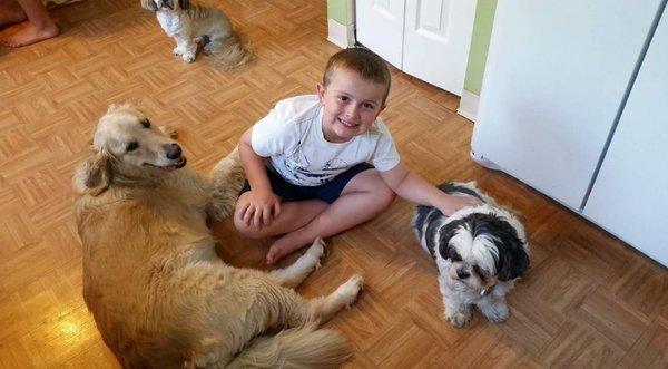 Logan hanging out with a few of our boarding dogs.