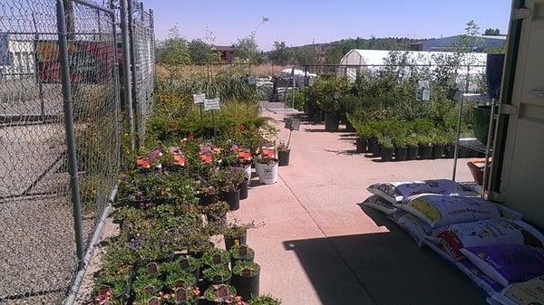 Great selection of plants.