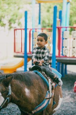 Preschool Toddler Pumpkin Patch 2024