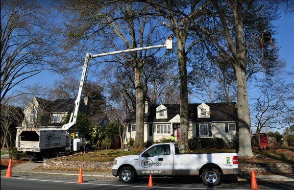 Heartwood Tree Care