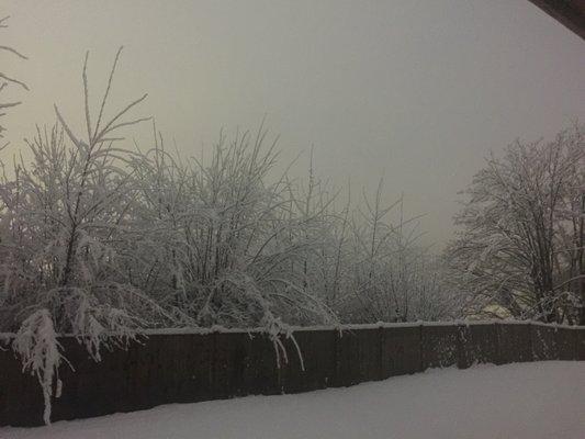 View from the balcony/backyard (common area). Perfect for friends gathering during summer, and snowman  making during wintertime!