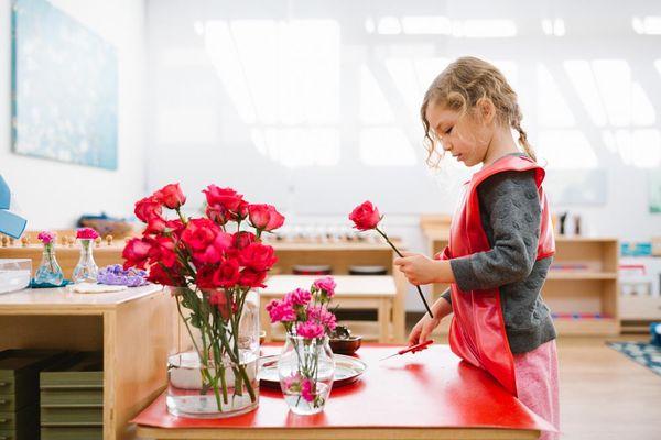 A student in our Children's House, a mixed age classroom for students ages 3-6, begin a flower arranging activity.