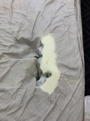 Hole in the bed