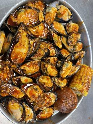 Black Mussels