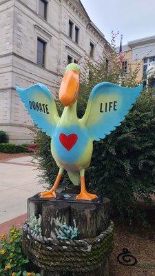 Donate Life Pelican  08-20-2022