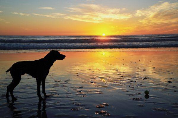 Carmel Beach Sunset.