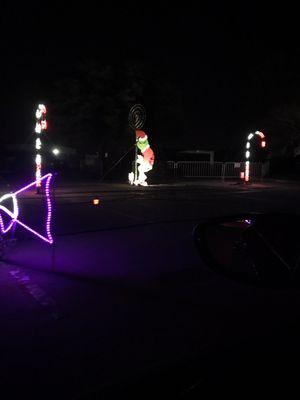 The Grinch made an appearance! Christmas Nights of Lights - 2016