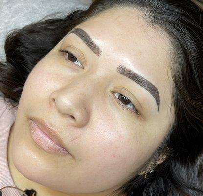 Ombre shading Brows !