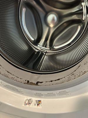 Mold in washer