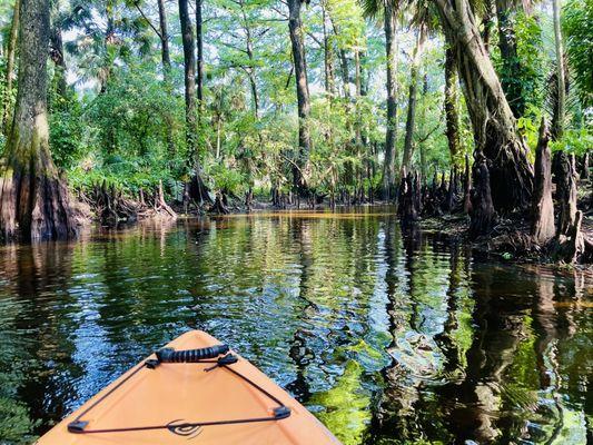 Kayaking