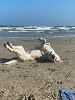 Kaia at the beach