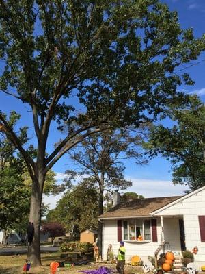 Great October Weather makes EZ Tree Cares jobs a breeze!!!