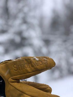 SmartWool on the trail.