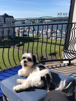 Lord Kingsley lounging at home.