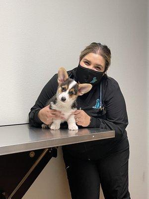 Sparco's first vet visit!