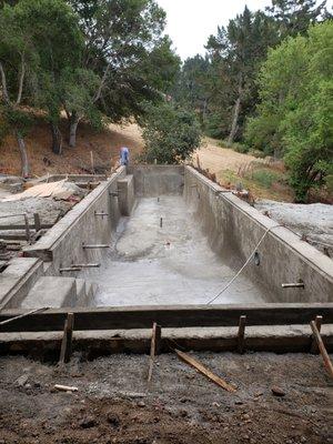 Gunite Curing