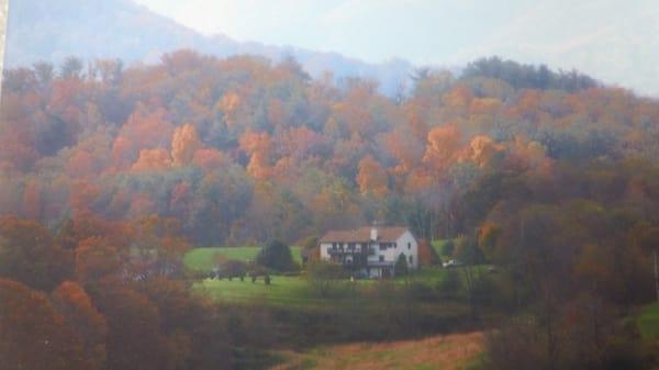 ~Brittany's Mountain Retreat~ located just 12 miles NW of downtown Asheville, NC