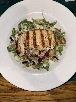 Harvest Chicken Salad - YUMMY!