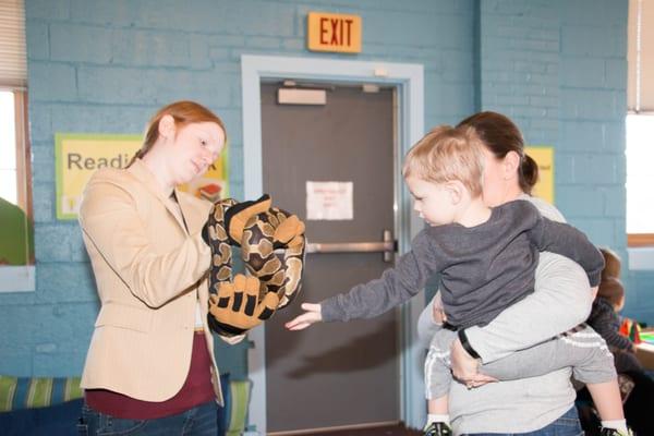 Chester the Snake makes a new friend.