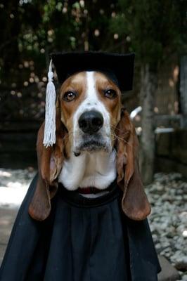 Duke's graduation.