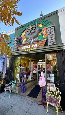 Catnip Coalition store front & entrance with available cats for adoption on display.