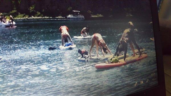 Down with your Dog on your board!  SUP Yoga Sundays!!!