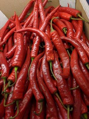 Long hot peppers