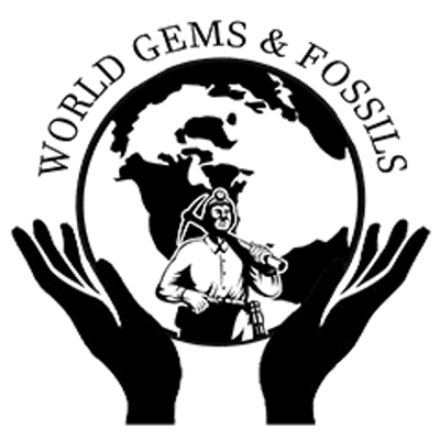 World Gems And Fossils