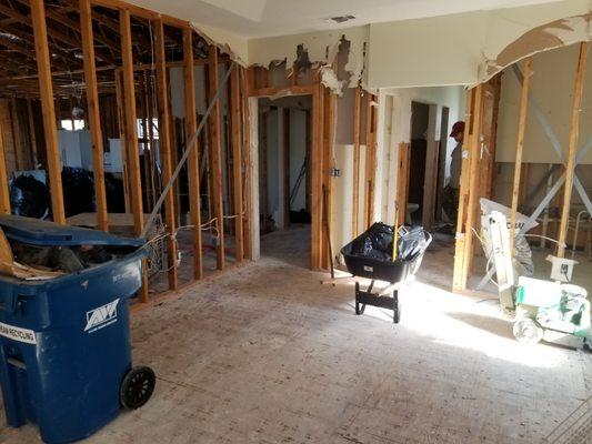 Water damage, total demo