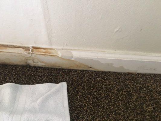 Water damage baseboard