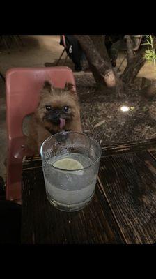 Augie enjoying a margarita