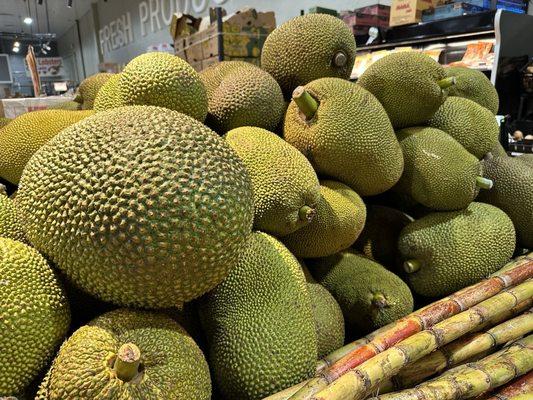 Jackfruit  4/2024