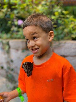 Butterflies loved the right color of Preston's shirt on our second trip. Wear bright colors!!