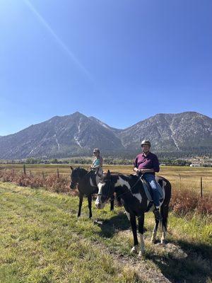 Grazing the pasture